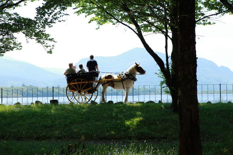 Lake Lodge Guesthouse 킬라니 외부 사진